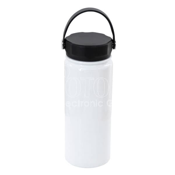 550 ml Stainless Steel Water Bottle with Swivel Handle