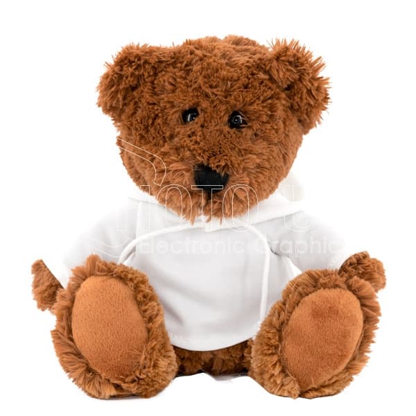 Plush Teddy Bear with Hoodie